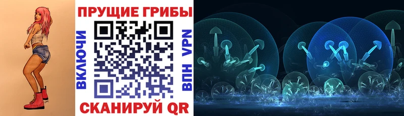 Галлюциногенные грибы Psilocybe  Лахденпохья 